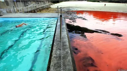 Червоні припливи (13 фото) - waterworld, водний світ - інтернет журнал (подорожі) Червоні припливи (13 фото) - waterworld, водний світ - інтернет журнал
