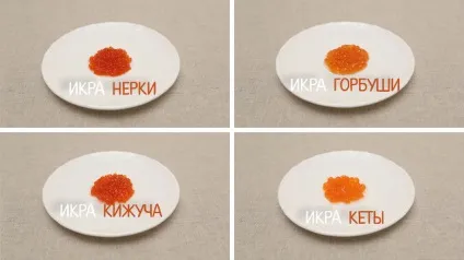 Червона ікра для годуючих матерів (шкода червоної ікри) Червона ікра для годуючих матерів