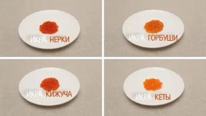 Червона ікра при грудному вигодовуванні можна мамі, що годує (вигодовуванні) Червона ікра при грудному вигодовуванні можна мамі, що годує