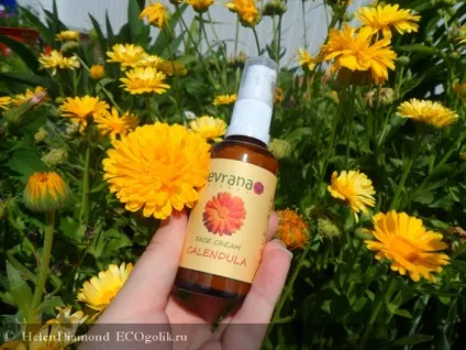Крем для обличчя календула spf 15 з матуючим ефектом levrana - відгук екоблогера helendiamond (відгук екоблогера helendiamond) Крем для обличчя календула spf 15 з матуючим ефектом levrana - відгук екоблогера helendiamond