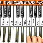 Крила мухи своїми руками фото (мухи) Крила мухи своїми руками фото
