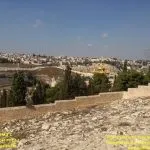 Крила мухи своїми руками фото (своїми) Крила мухи своїми руками фото