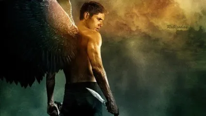 Крила ангела кадри, фото і малюнки ангелів надприродного, supernatural bloodlines (надприродного) Крила ангела кадри, фото і малюнки ангелів надприродного, supernatural bloodlines