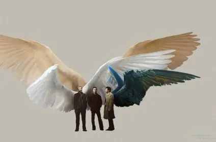 Крила ангела кадри, фото і малюнки ангелів надприродного, supernatural bloodlines (фото) Крила ангела кадри, фото і малюнки ангелів надприродного, supernatural bloodlines