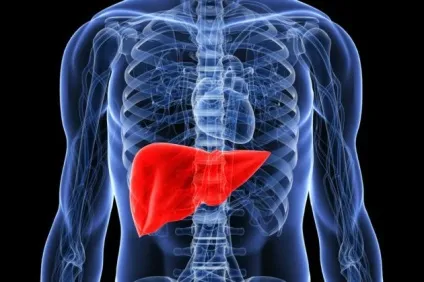 Криптогенний гепатит специфіка, діагностики та лікування