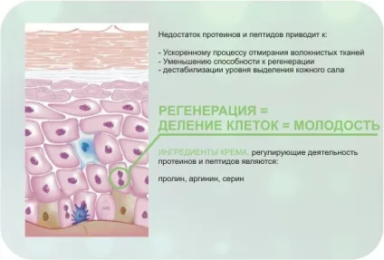 Крем з пептидами - рекламний хід або революція в боротьбі зі зморшками (антивікові креми з пептидами) Крем з пептидами - рекламний хід або революція в боротьбі зі зморшками