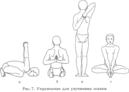 Кругловогнутая спина що це таке, як формується, лікування, вправи для профілактики (круглоувігнута спина вправи) Кругловогнутая спина що це таке, як формується, лікування, вправи для профілактики