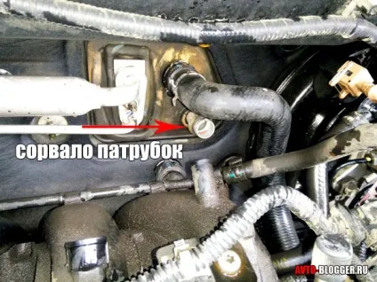 Кришка розширювального бачка (розширювального) Кришка розширювального бачка
