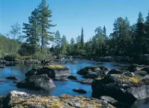 Куди поїхати відпочивати в серпні вУкаіни (росії) Куди поїхати відпочивати в серпні вУкаіни
