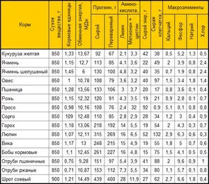 Кукурудза як корм для свиней, корисна інформація, шкурки шиншил (корисна) Кукурудза як корм для свиней, корисна інформація, шкурки шиншил