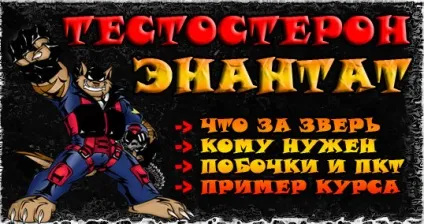 Курс тестостерону енантат характеристика тестостерону енантат, його плюси і мінуси, побочки і (характеристика) Курс тестостерону енантат характеристика тестостерону енантат, його плюси і мінуси, побочки і