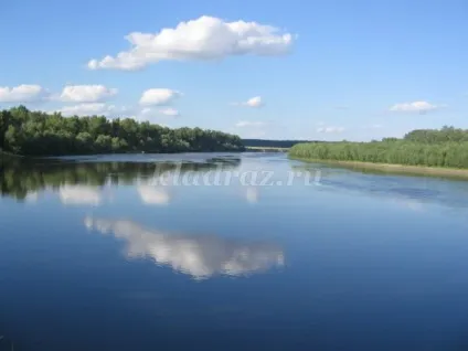Квн - захід в пришкільному таборі