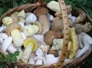Лікувальні мінеральні води, корисні для лікування нирок які води краще (води) Лікувальні мінеральні води, корисні для лікування нирок які води краще