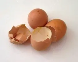 Лікування алергічної астми народними засобами (засобами) Лікування алергічної астми народними засобами