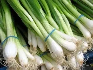Лікування алергічної астми народними засобами (засобами) Лікування алергічної астми народними засобами
