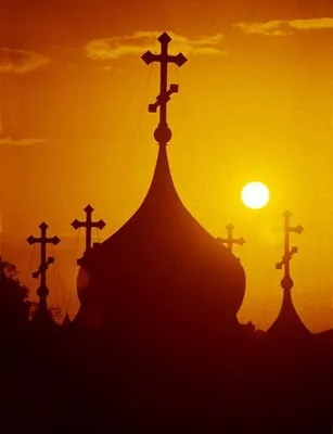 Лікувальна безбелковая дієта (пост) - обов'язкова умова одужання (безбелковая дієта пост) Лікувальна безбелковая дієта (пост) - обов'язкова умова одужання
