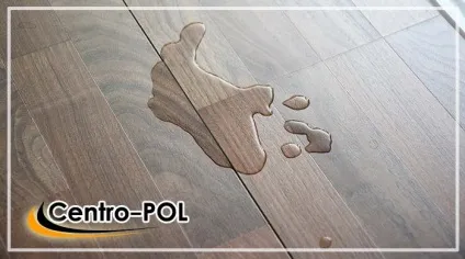 Ламінат плюси і мінуси укладання, гідності, недоліки матеріалу (ламінат) Ламінат плюси і мінуси укладання, гідності, недоліки матеріалу