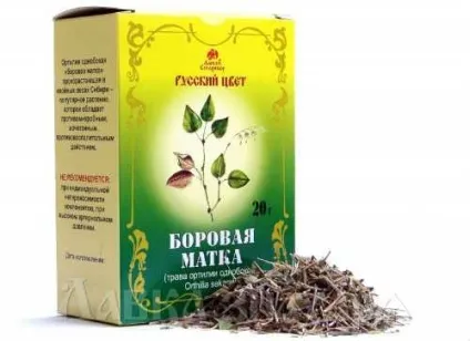 Лікування ендометріозу народними засобами в домашніх умовах (засобами) Лікування ендометріозу народними засобами в домашніх умовах