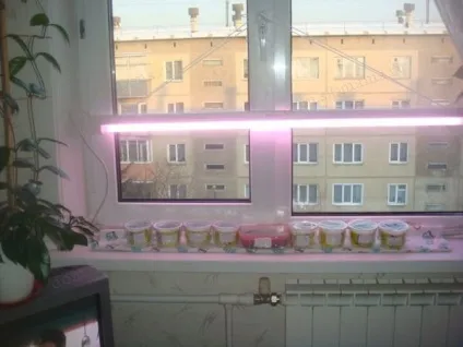 Лампи для рослин (розсади)