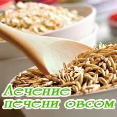 Лікування печінки вівсом кращі рецепти, рецепти (лікування) Лікування печінки вівсом кращі рецепти, рецепти