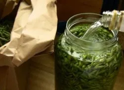Лікування печінки вівсом кращі рецепти, рецепти (вівсом) Лікування печінки вівсом кращі рецепти, рецепти