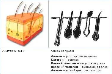 Лікування випадіння волосся в а клініці