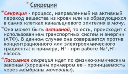 Нефрон будову та функціонування одиниці нирки (багатий на глюкозу надлишками) Нефрон будову та функціонування одиниці нирки