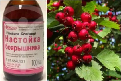 Настоянка з глоду домашня рецепт приготування напою (глоду) Настоянка з глоду домашня рецепт приготування напою