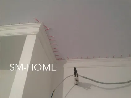 Натяжна стеля і ліпнина - the wave of decor (wave) Натяжна стеля і ліпнина - the wave of decor