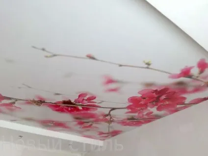 Натяжна стеля сакура