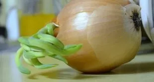 Літня застуда - звідки вона береться