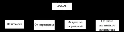 Ліси як об'єкт використання та охорони - правова охорона лісів (ліси) Ліси як об'єкт використання та охорони - правова охорона лісів