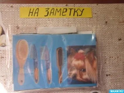 Лепбук «все про собак»
