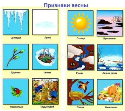 Лепбук на тему весна для дитячого саду своїми руками (лепбук) Лепбук на тему весна для дитячого саду своїми руками