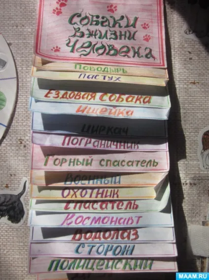 Лепбук «все про собак»