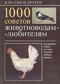 Лінкольн (вівчарство породи)