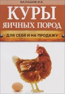 Лінкольн (вівчарство породи)