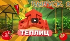Листова галова попелиця на смородині, як боротися