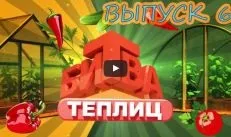 Листова галова попелиця на смородині, як боротися