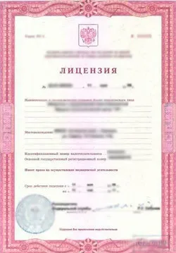 Ліцензія на вантажоперевезення (Надання послуг перевезення) Ліцензія на вантажоперевезення