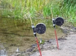 Лову чехоні на гумку виготовлення, відео, інструкції