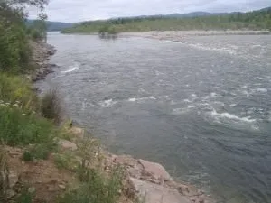 Лову чехоні на гумку виготовлення, відео, інструкції