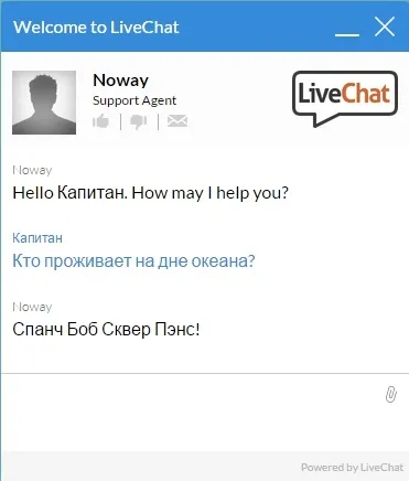 Live chat - amocrm