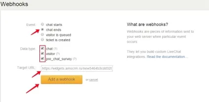 Live chat - amocrm
