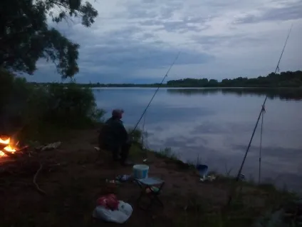 Ловля ляща на фідер як зловити великого ляща, Рибкіна посмішка - звіти про рибалку, фото з риболовлі, (ляща) Ловля ляща на фідер як зловити великого ляща, Рибкіна посмішка - звіти про рибалку, фото з риболовлі,