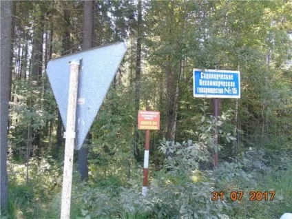 Лось був збитий машиною і розчленований невідомими на Серовский трасі (фото) (Сєров) Лось був збитий машиною і розчленований невідомими на Серовский трасі (фото)