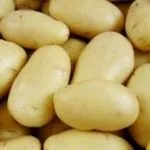 Кращі сорти картоплі для сибіру з описом і фото (картоплі) Кращі сорти картоплі для сибіру з описом і фото