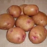 Кращі сорти картоплі для сибіру з описом і фото (кращі) Кращі сорти картоплі для сибіру з описом і фото