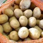 Кращі сорти картоплі для сибіру з описом і фото (хороша стійкість Фитофтороз) Кращі сорти картоплі для сибіру з описом і фото