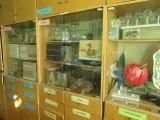 Найкраще оформлення кабінету біології (біології) Найкраще оформлення кабінету біології